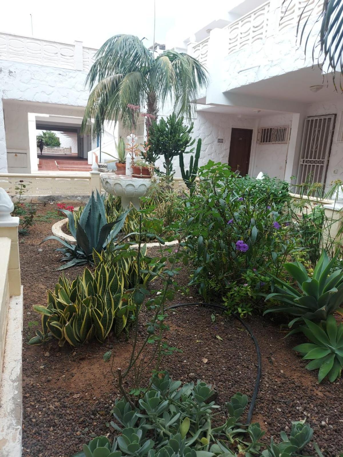 Casa Papagayo Apartment Arona  Bagian luar foto