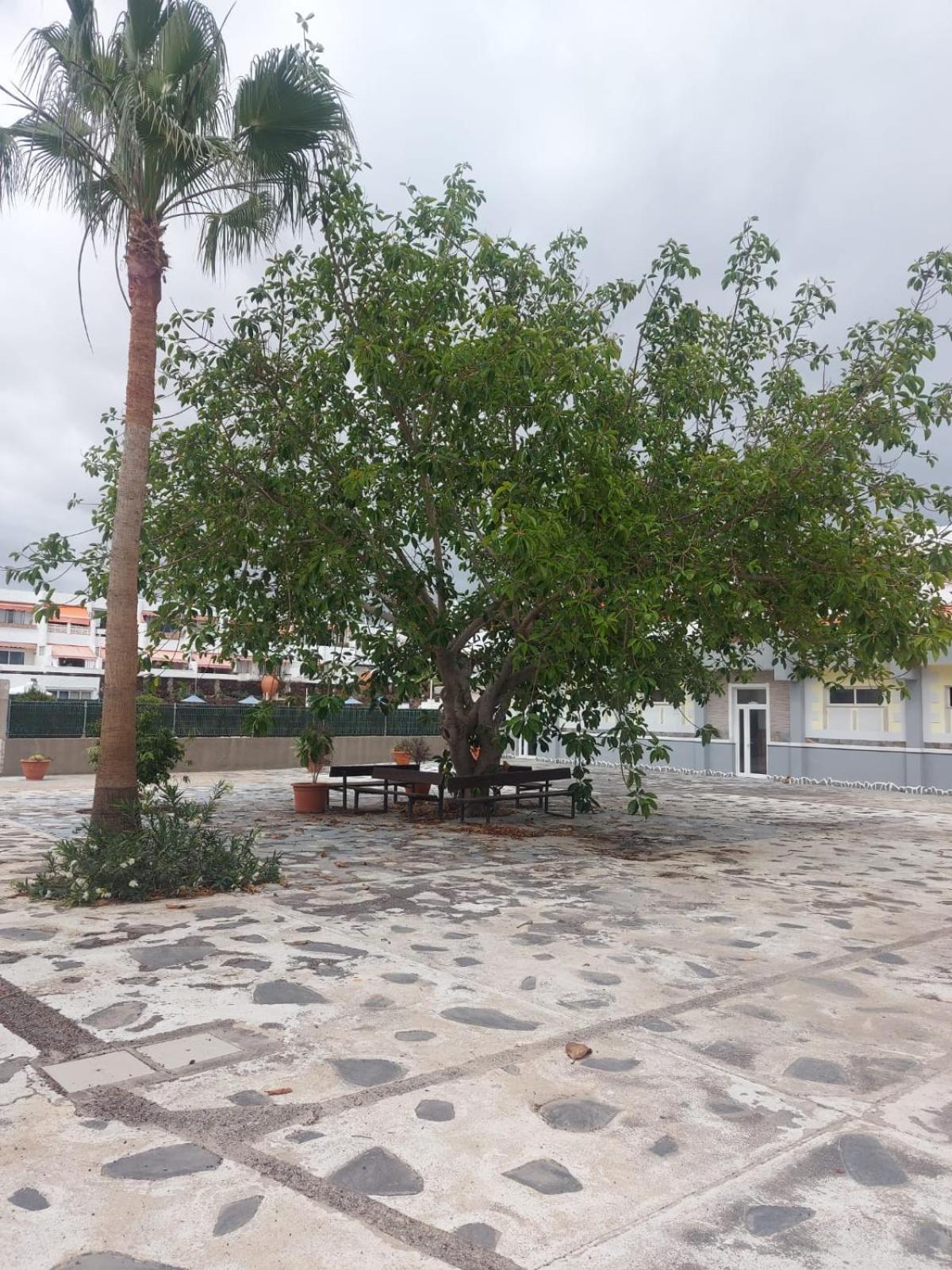 Casa Papagayo Apartment Arona  Bagian luar foto